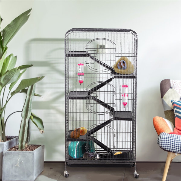 Biggest best sale ferret cage